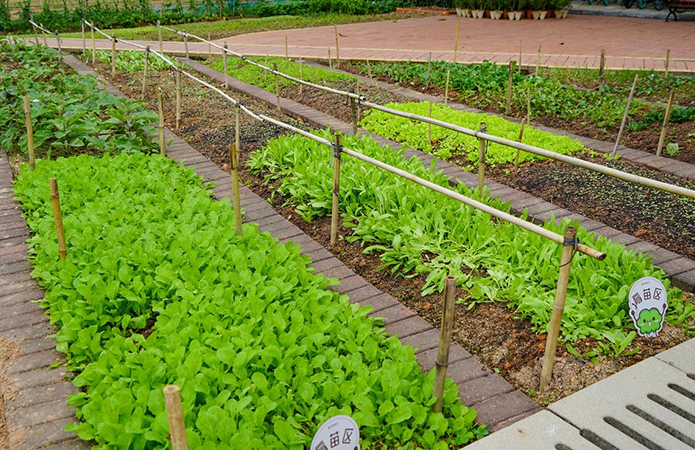 K12农业研发基地